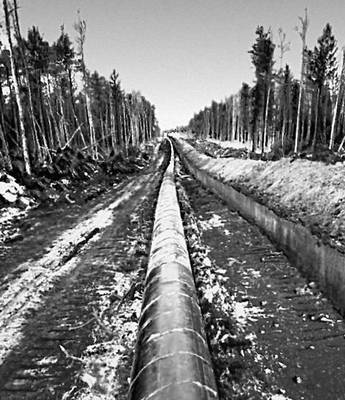 Газель сургут нижневартовск