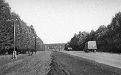 Снегозащитные лесные полосы вдоль автомобильной дороги Чебоксары Канаш ...