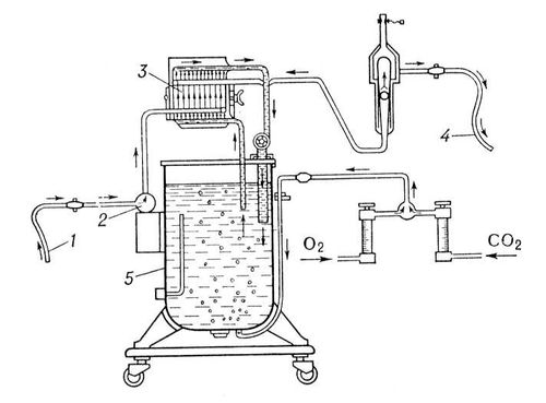 Аппарат коха схема