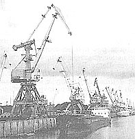 017.jpg (14472 bytes)