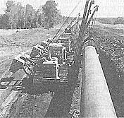 018.jpg (13873 bytes)