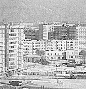 019.jpg (16203 bytes)