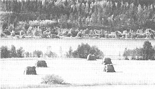 020.jpg (18464 bytes)