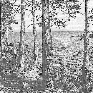 025.jpg (42482 bytes)