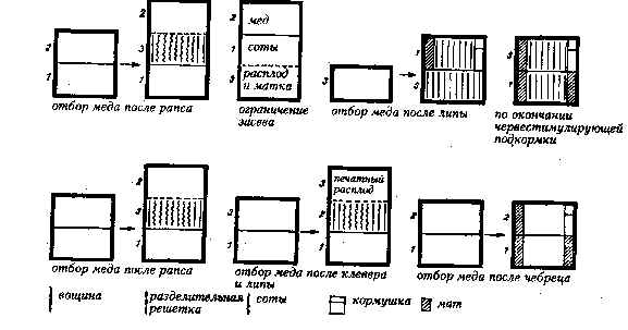wpe2.jpg (28182 bytes)