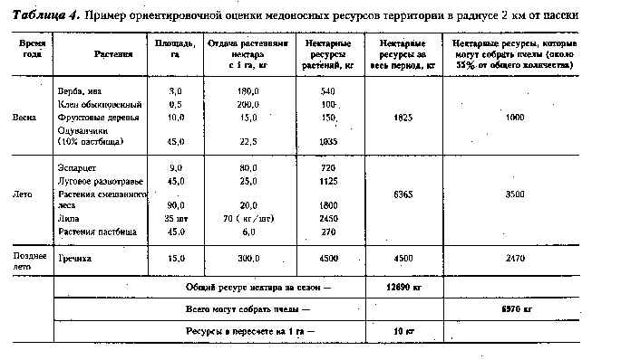 wpe11.jpg (42940 bytes)