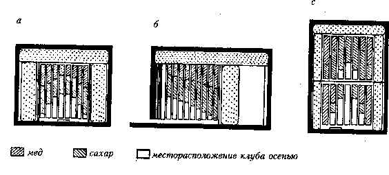 wpe16.jpg (28166 bytes)