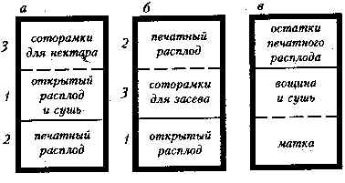 wpe19.jpg (15179 bytes)