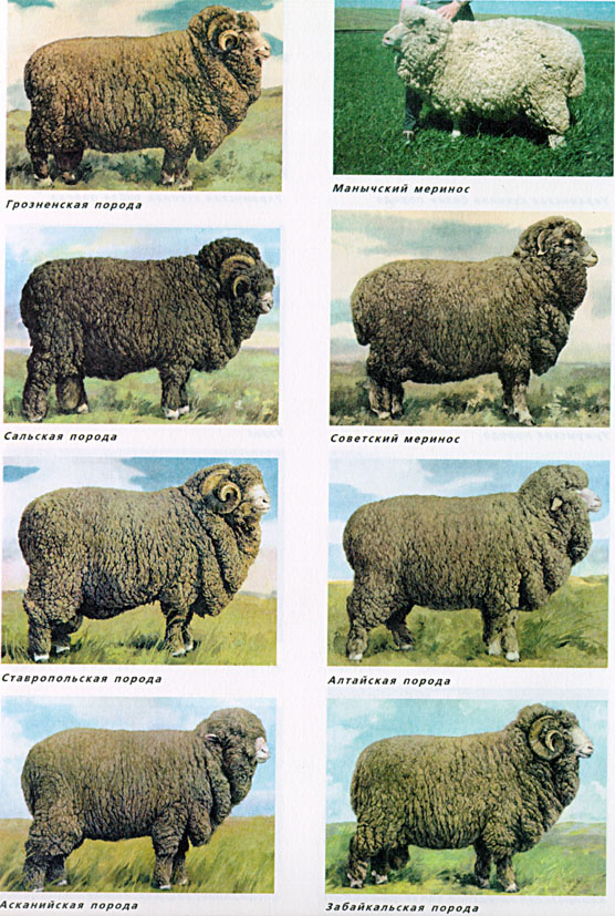 11.jpg (183616 bytes)