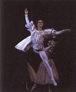 bogatyr.JPG (9216 bytes)