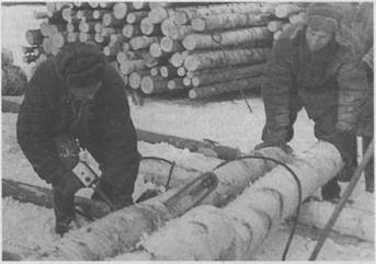 1959 год. Спиленный лес складывался в штабеля на берегу реки Сизьма. На фото Павел Петров и Толя Веткин