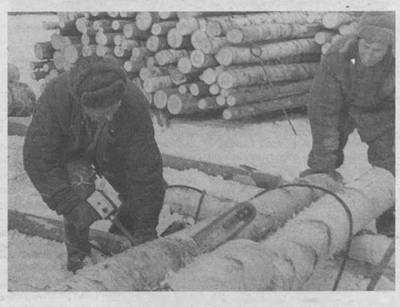 П. П. Петров и Анатолий Веткин (с пилой), м. Сизьма