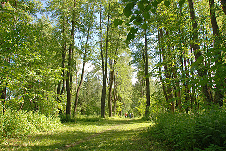 ����. ���. ���. �.�������� 2009 ���