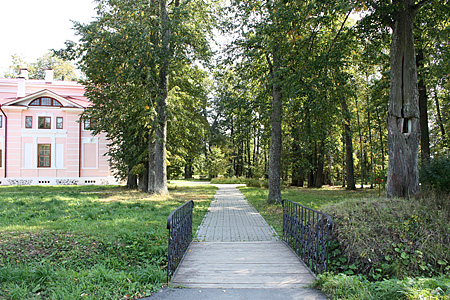 ����. ���. ���. �.�������� 2009 ���