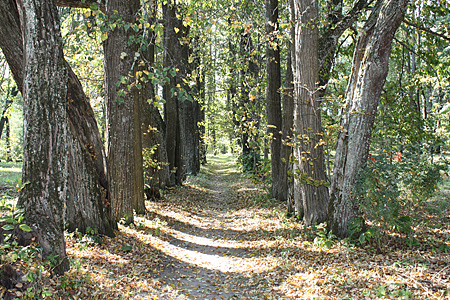 ����. ���. ���. �.�������� 2009 ���