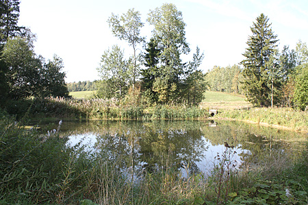 ����. ���. ���. �.�������� 2009 ���