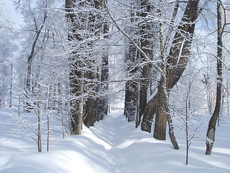 ����. ���. ���. �.�������� 2009 ���