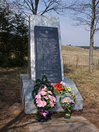 Памятник войнам, д. Великий Двор.