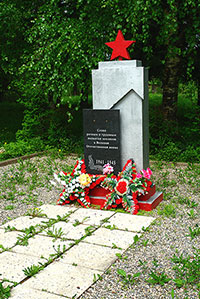 Обелиск воинам-землякам, д. Митицыно.