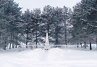 Памятник воинам-землякам, д. Кукшево.