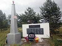 Памятник войнам-землякам, погибших в годы Великой Отечественной войны, д. Панинская.