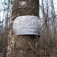 Мясной Бор Новгородской области. 