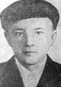 Н.Е. Петухов