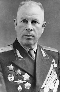 В.И. Щелкунов