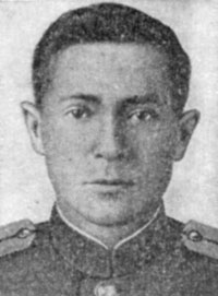 Н.Г. Шеломцов