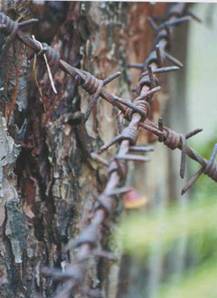 Здешняя земля хранит много следов войны