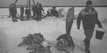 Спасатели достали останки самолета Ил-2, упавшего в озеро во время Великой Отечественной войны.