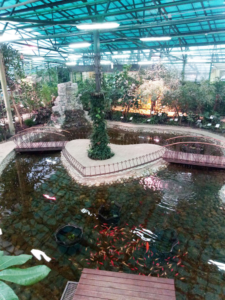 День влюбленных в Ботаническом саду