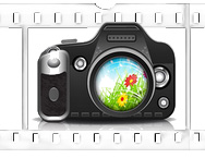 Фотовыставка «Весеннее настроение»