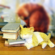 Выставка книг и сувениров «Без кота и жизнь не та!»
