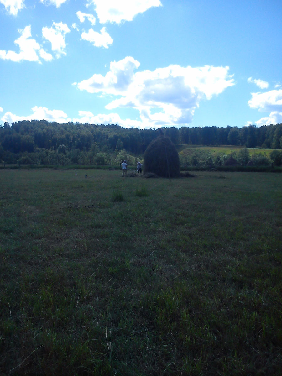 «Вешние воды»