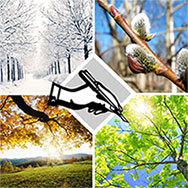 Межрегиональный конкурс «Поэтический календарь»