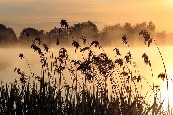 Фото Алексея Палысаева