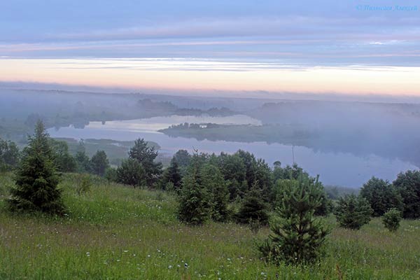 Фото Алексея Палысаева