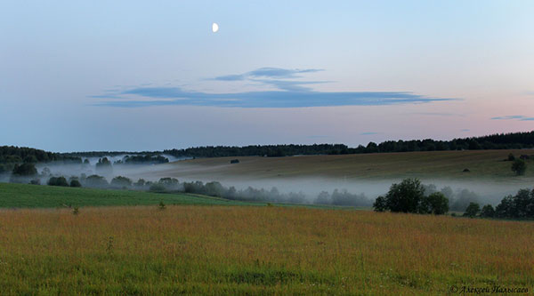 Фото Алексея Палысаева