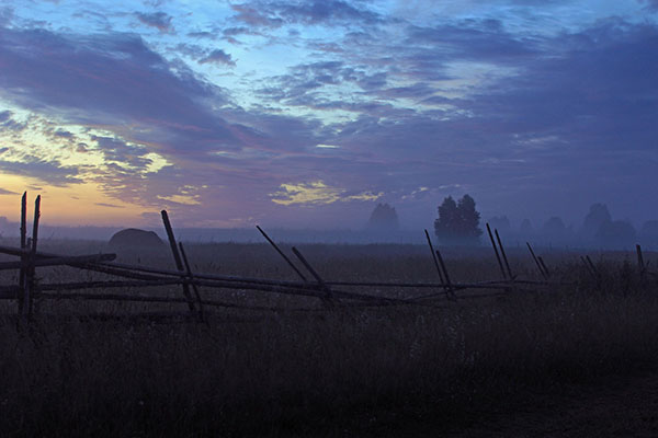 Фото Алексея Палысаева
