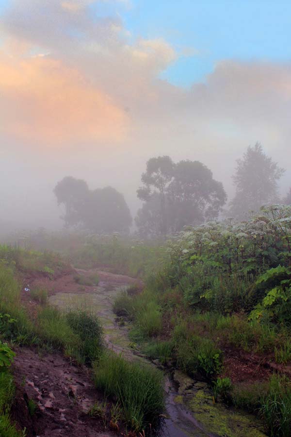 Фото Алексея Палысаева