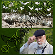 «Всех люблю»