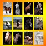 «КЛЯЧИ» Светланы Балабановой