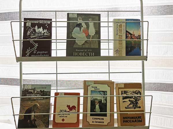 «С писателем в раздумьях»