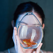 «Фотограф в библиотеке»