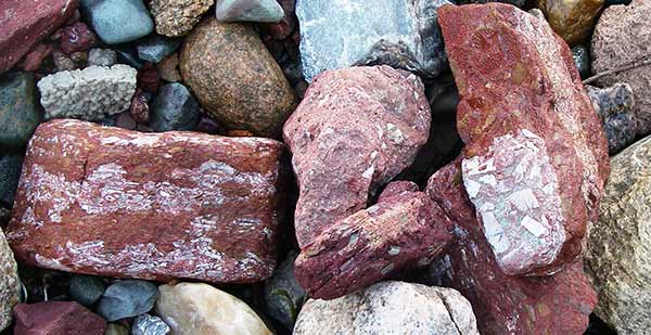 Остатки рыб. Андомская гора