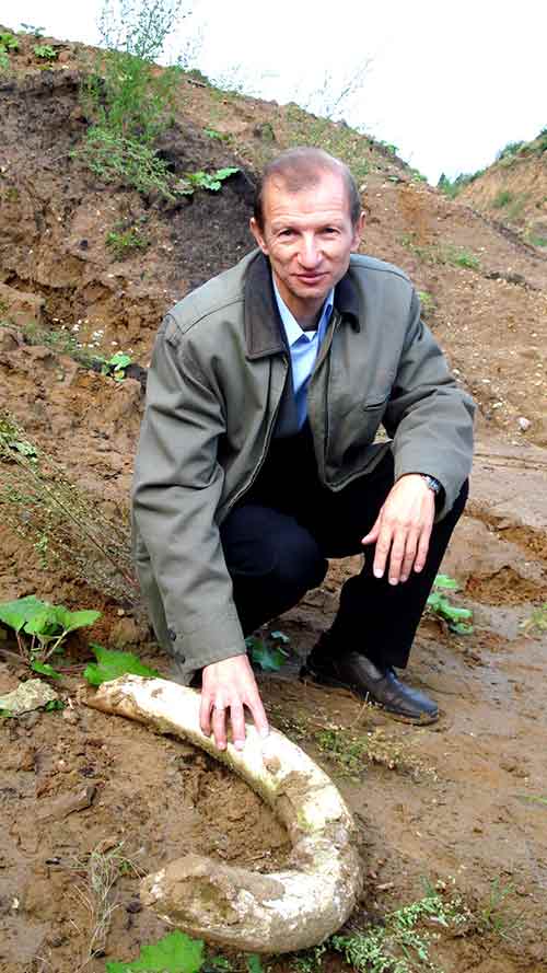 На карьере Санниково. Бивень мамонта. 2009 год