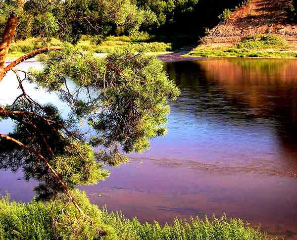 Сухона, устье Стрельны