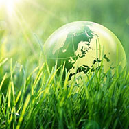 Межрегиональный конкурс «Экологическая мозаика: от просвещения к творчеству»