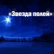 Всероссийский конкурс современной поэзии имени Николая Рубцова «Звезда полей»